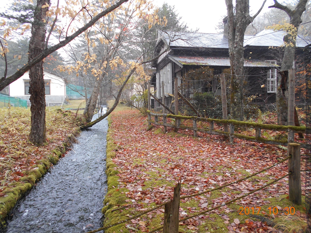 Sakana to Mori no Kansatsuen-日光市必去景点