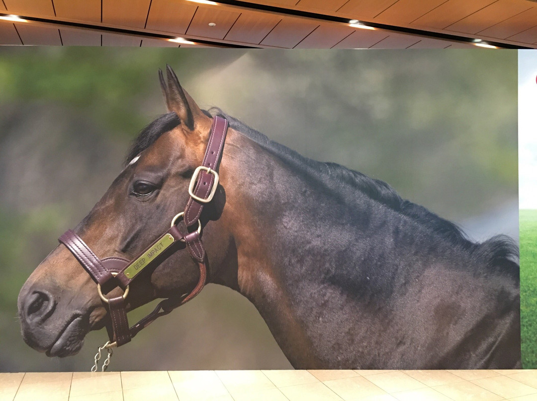 JRA Horseracing　Museum-府中市必去景点
