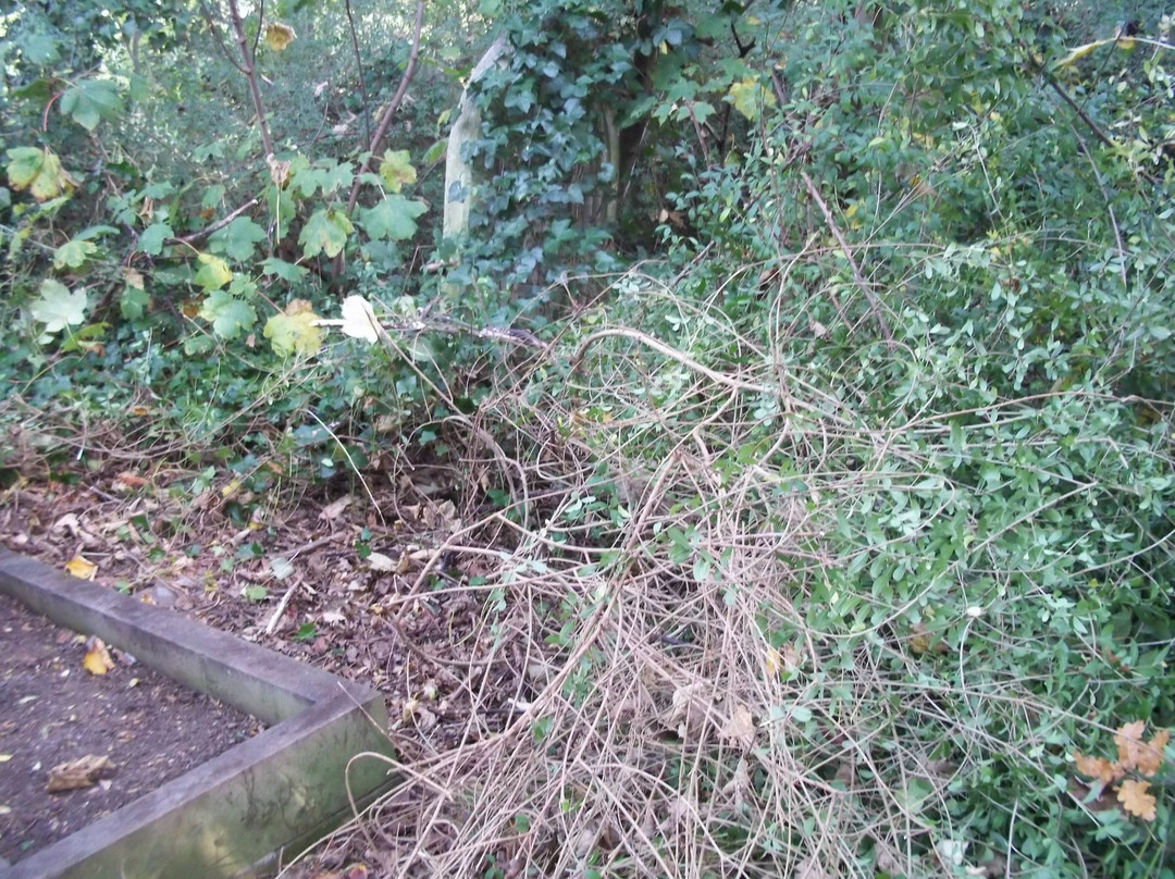 St Pancras and Islington Cemetery-巴尼特必去景点