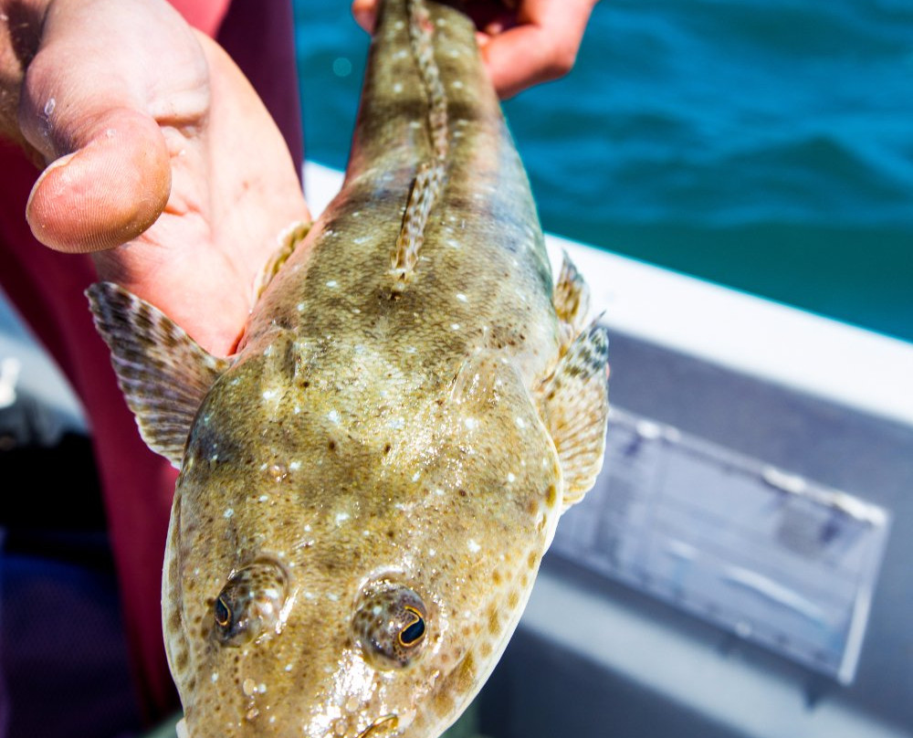 EP Boat Hire-Mount Dutton Bay必去景点