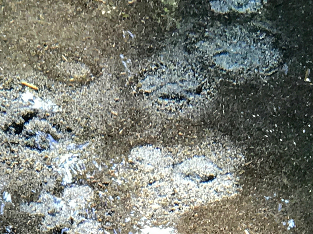 Yamabuki Spring景点图片