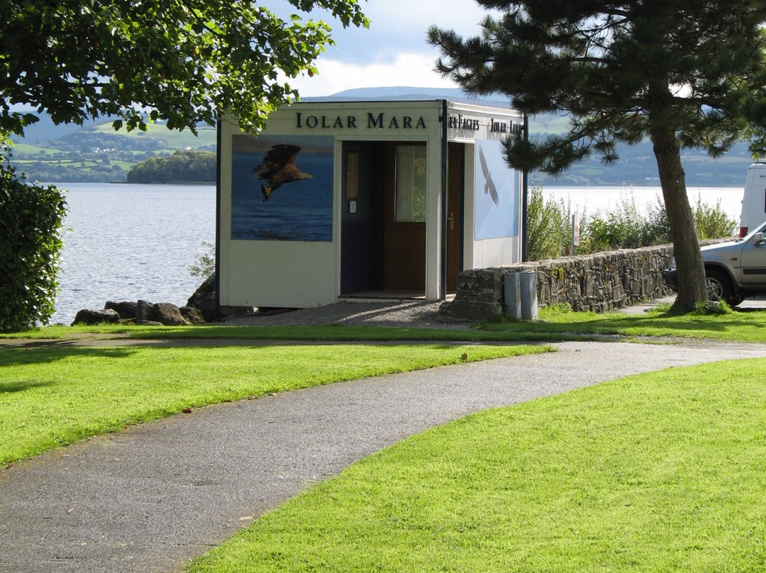 Mountshannon旅游景点-Mountshannon Eagles