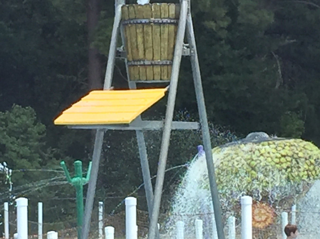 Wonder Oasis Waterpark-什里夫波特必去景点