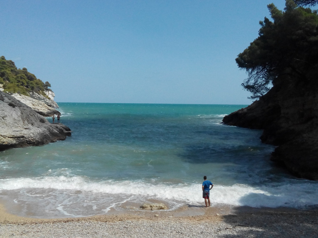 Cala della Pergola-维耶斯泰必去景点