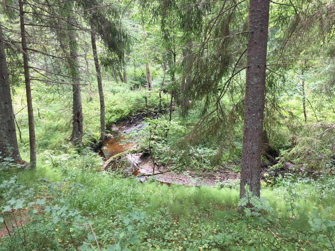 Ojaaarse Forest Trail-Vosupere必去景点