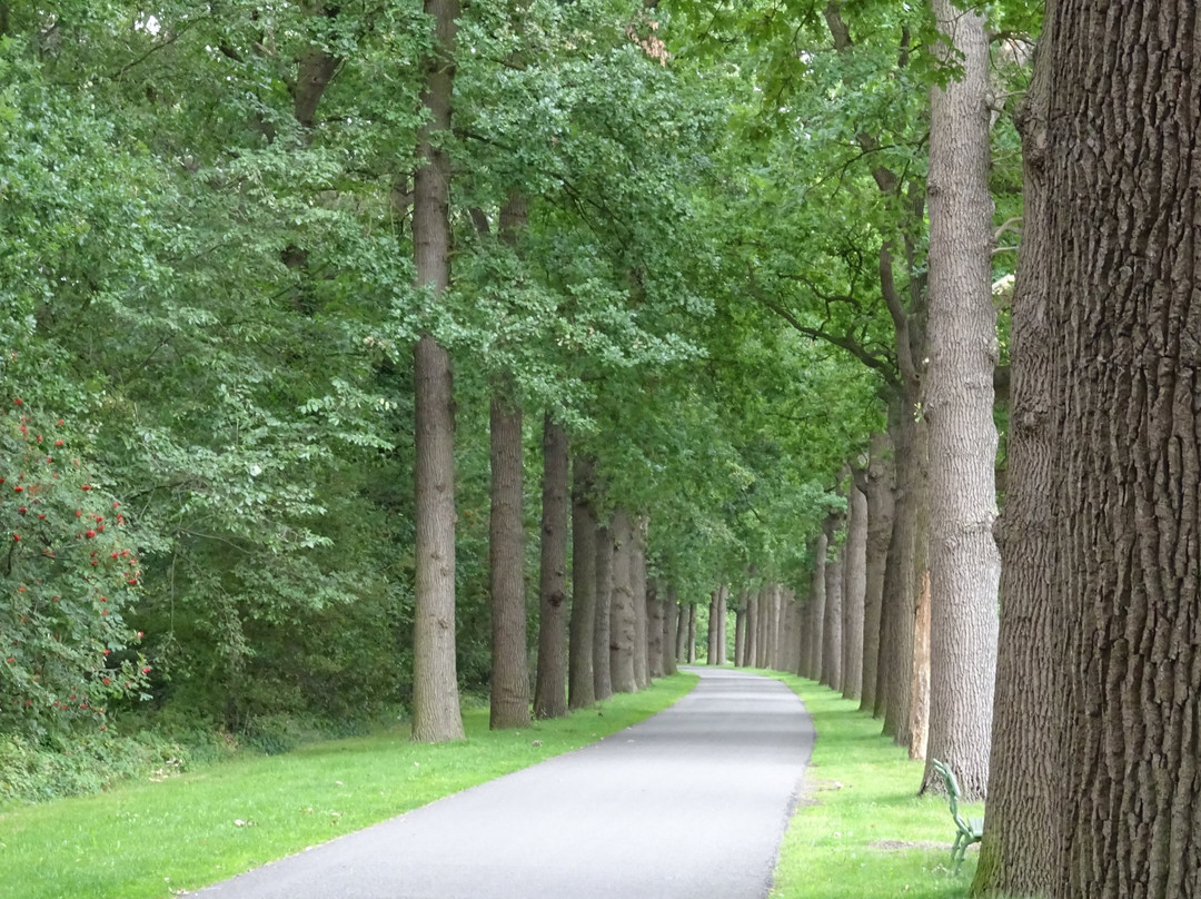 Wassenaar, Zuid-Holland-Wassenaar必去景点