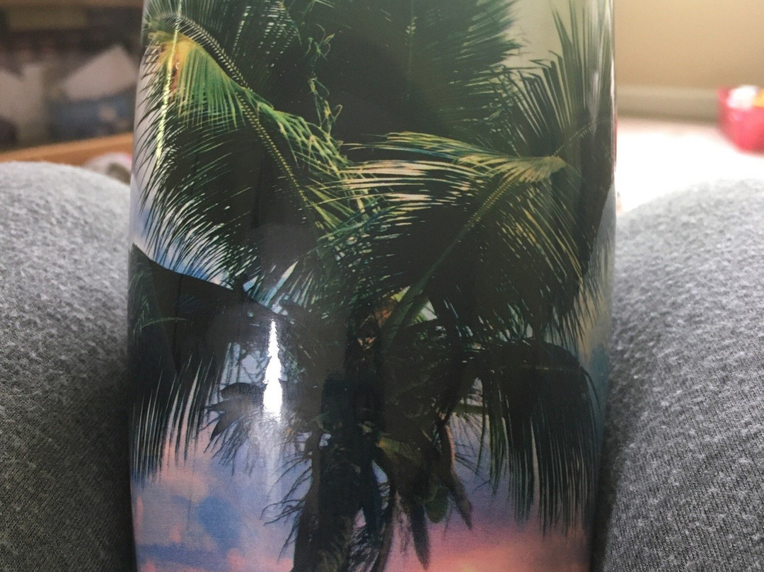 Tervis Tumbler-Osprey必去景点