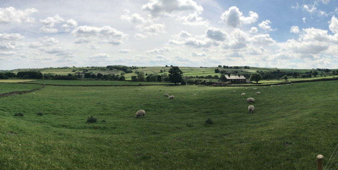 Our Cow Molly Dairy Farm & Ice Cream Shop-谢菲尔德必去景点