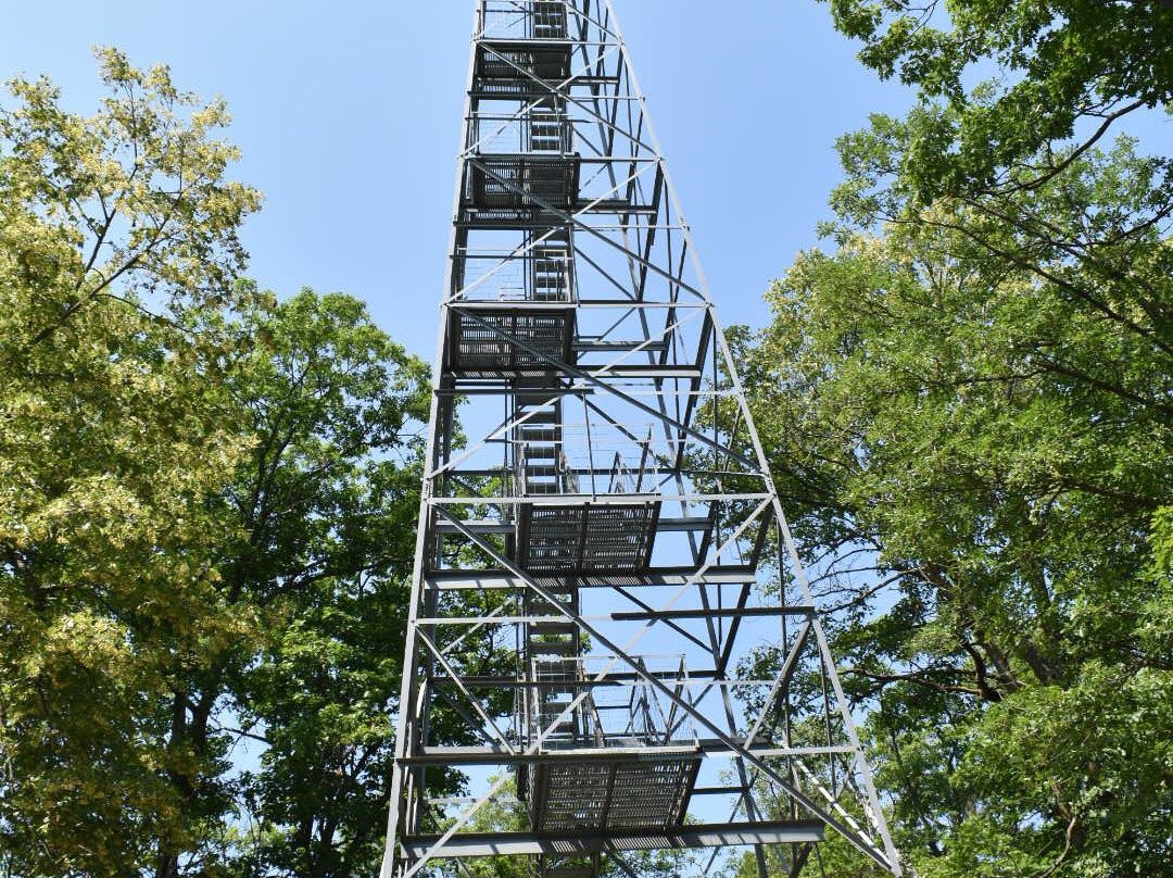Aiton Heights Fire Tower-Lake Itasca必去景点