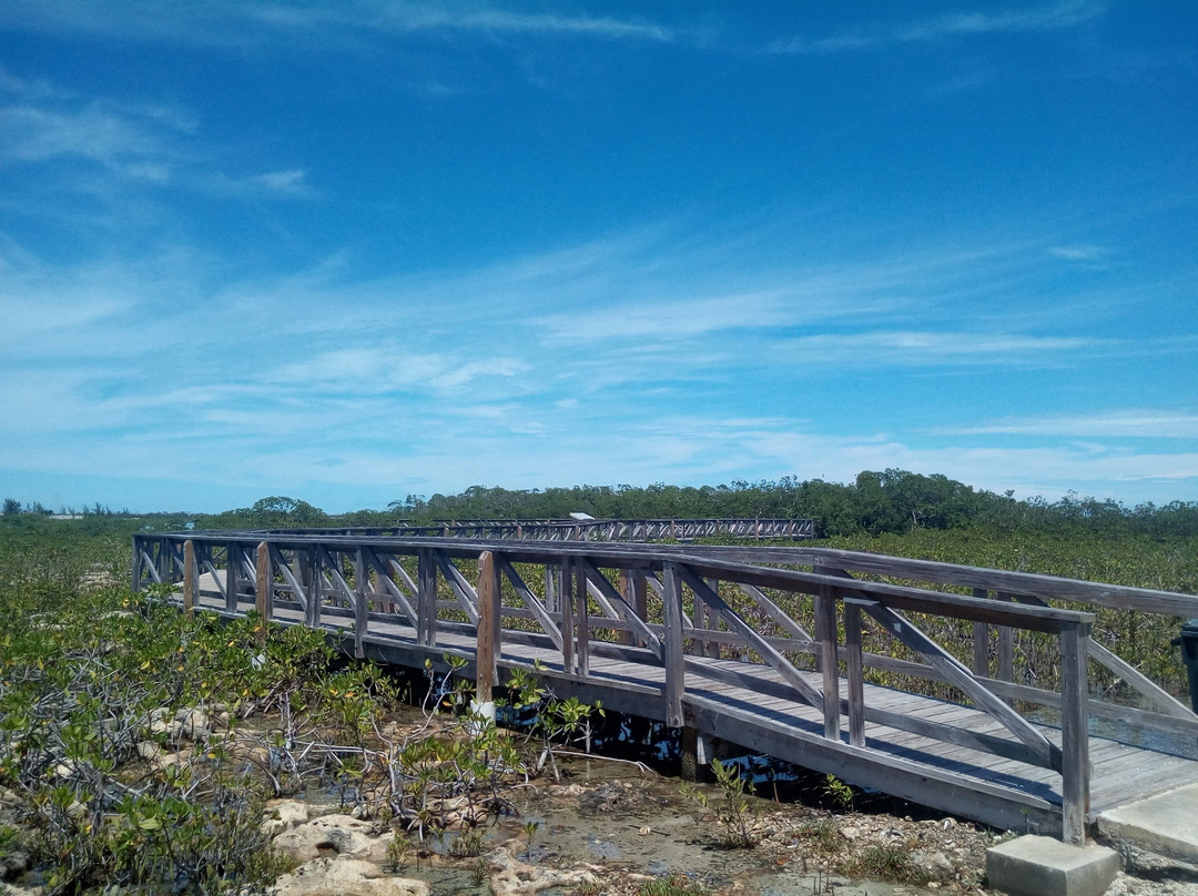 Bonefish Pond National Park-拿骚必去景点