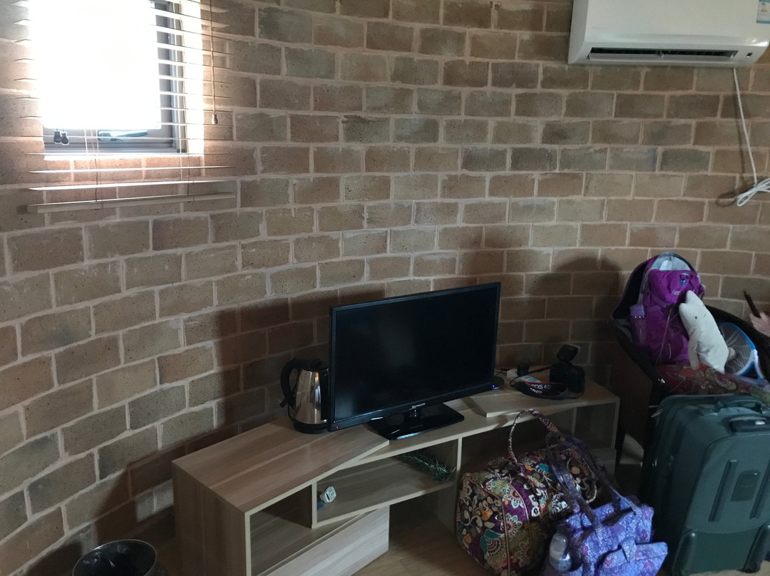 泰生天地-崇明县必去景点