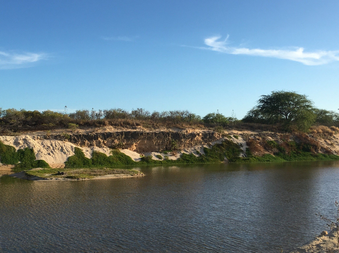 Kawai‘ele Waterbird Sanctuary-科卡哈必去景点