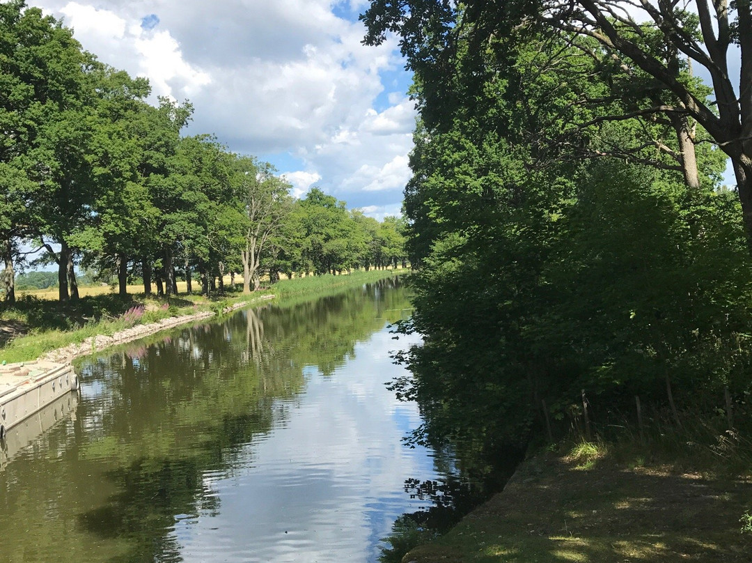 Arboga餐馆和美食-Hjalmare Kanal Cafe