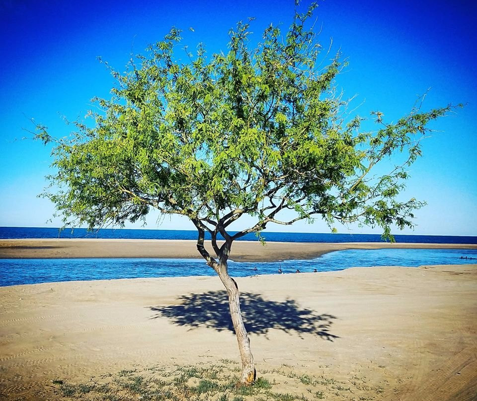 Rancho Punta Estrella