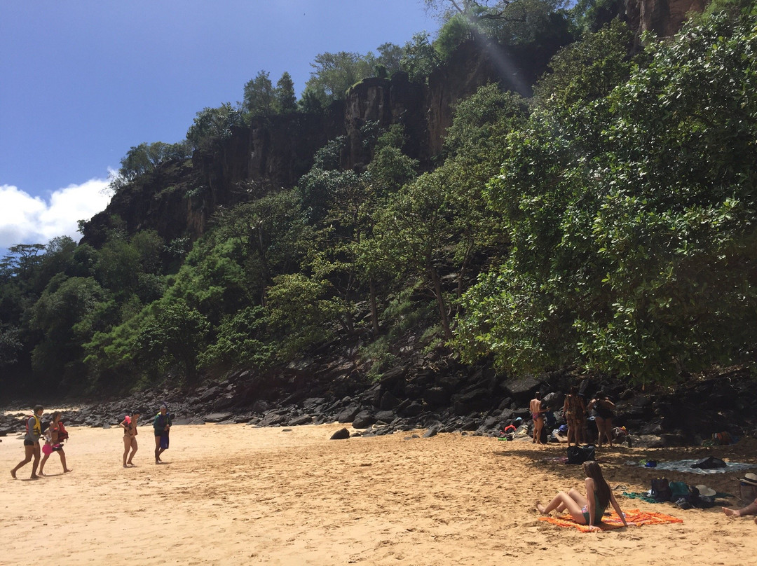 桑乔湾海滩-费尔南多-迪诺罗尼亚群岛必去景点