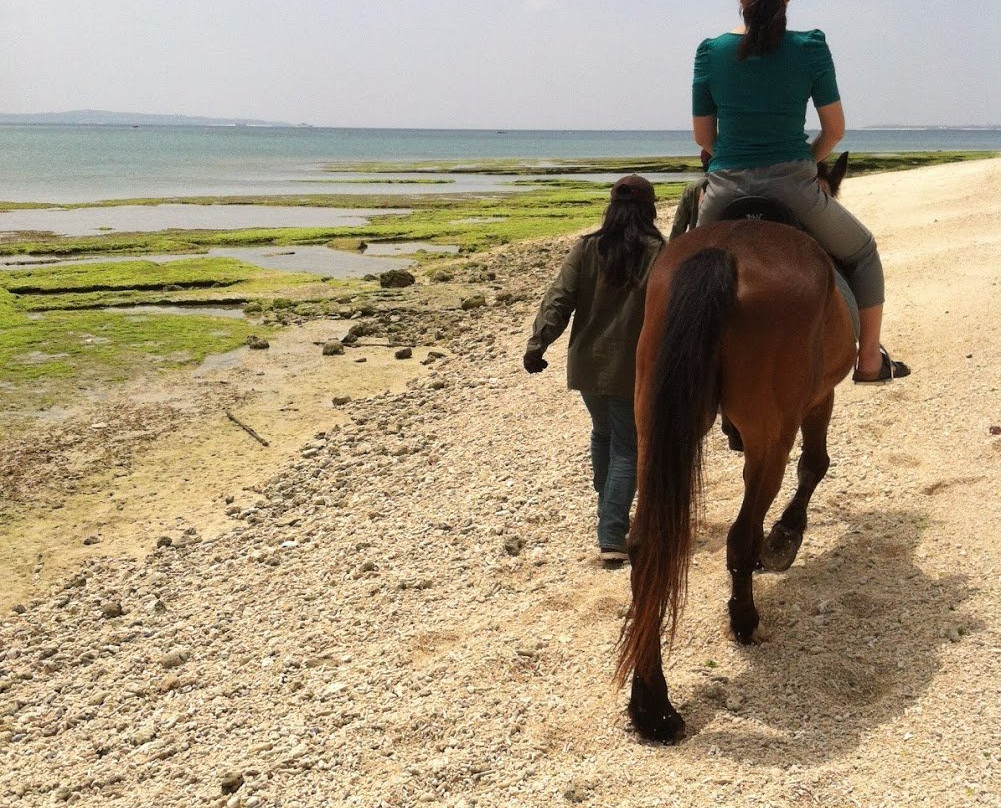 Iejima Beach Side Horse Park-伊江村必去景点