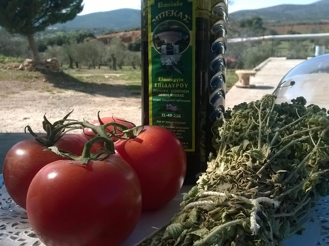 Epidaurus Becas Mills-埃皮达鲁斯必去景点