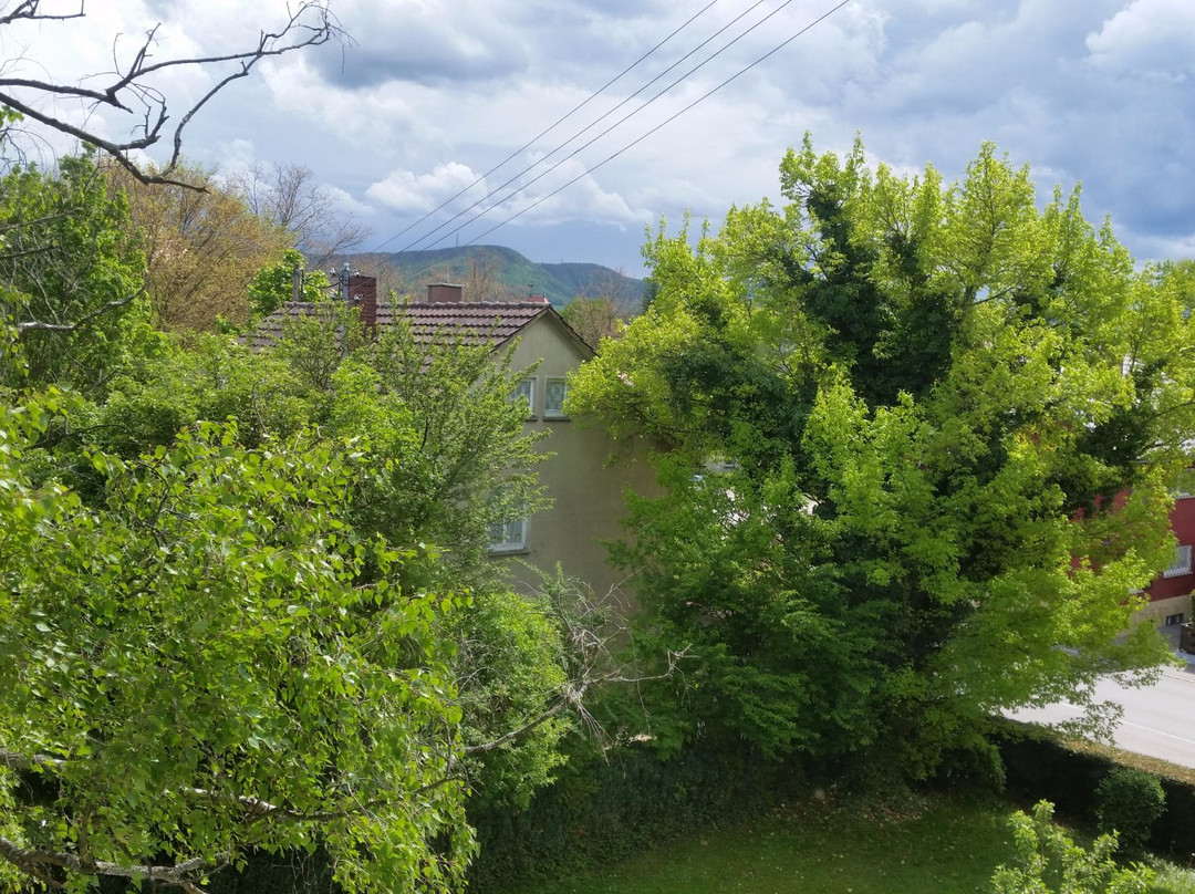 Hotel Garni Metzingen主图