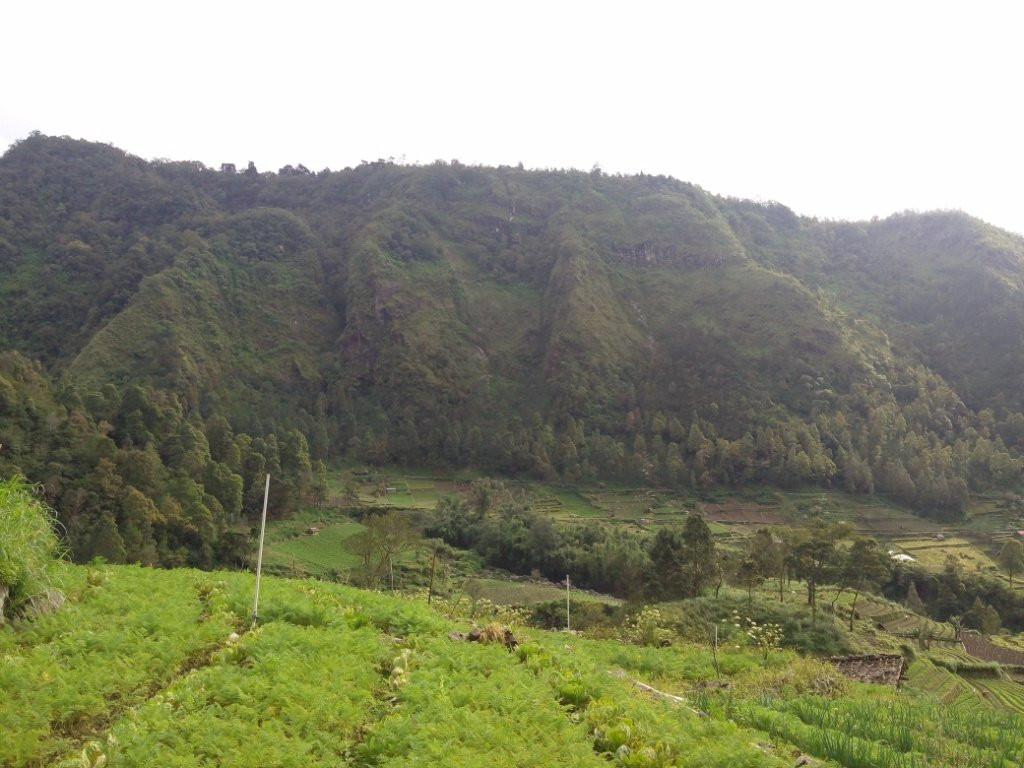 Ngadiloyo Waterfall景点图片