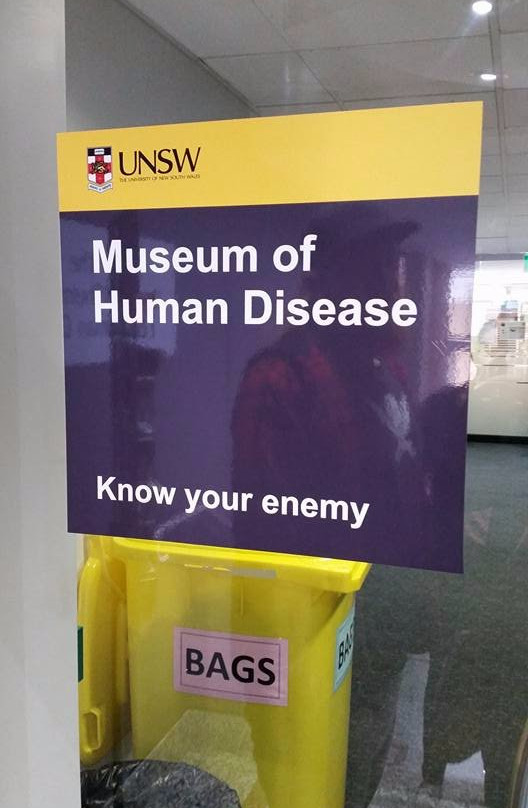 人类疾病博物馆-肯辛顿必去景点