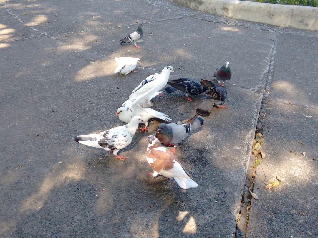 Jardin Nunez-Colima必去景点