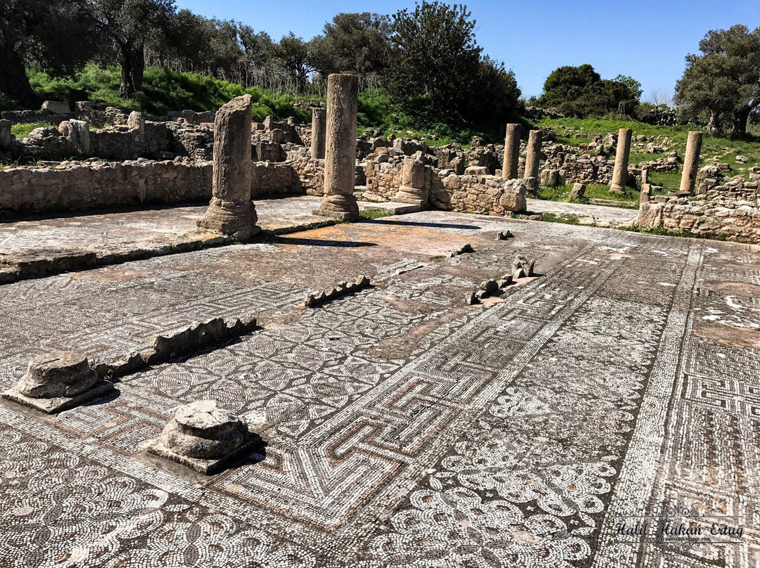 Ay Trias Bassilica-法玛古斯塔必去景点