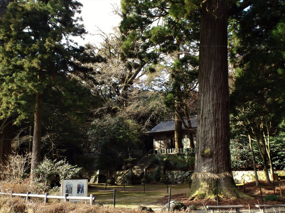Hike n See Fukuoka and Kysuhu-福冈市必去景点