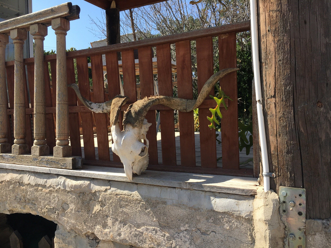 Kouklia Reptile Park-库克利亚必去景点