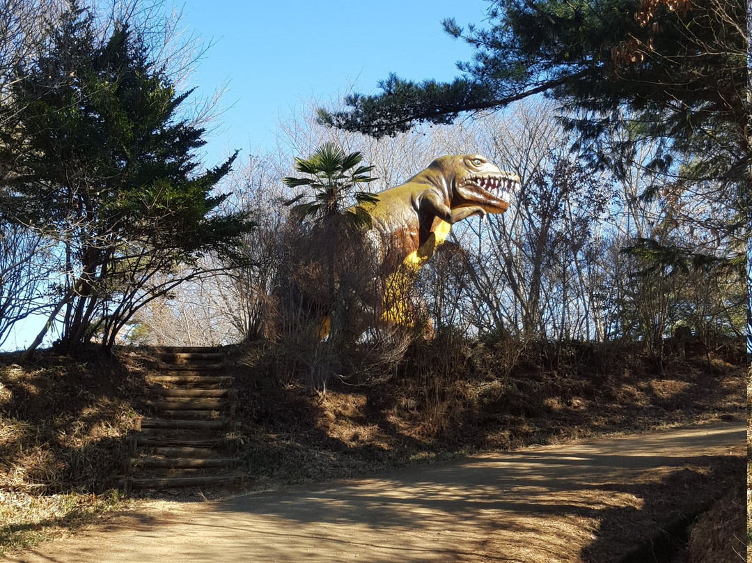 Mito City Forest Park-水户市必去景点