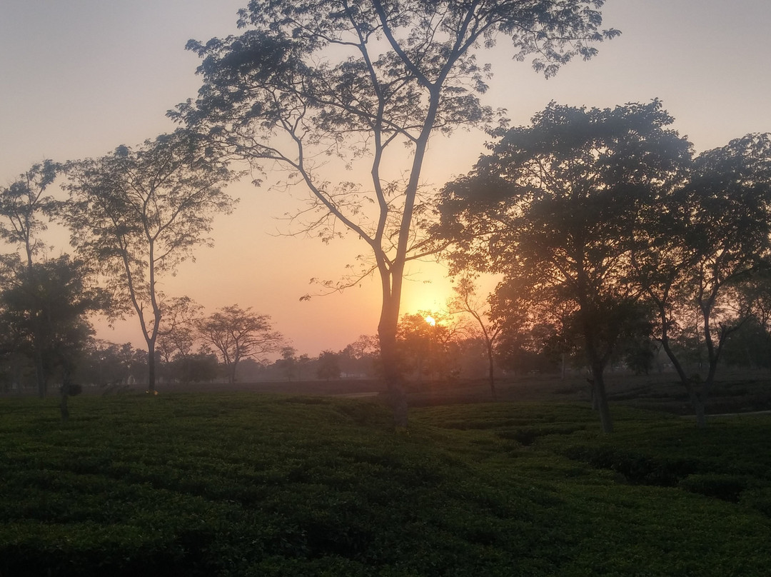 Dhekiajuli-Tezpur必去景点