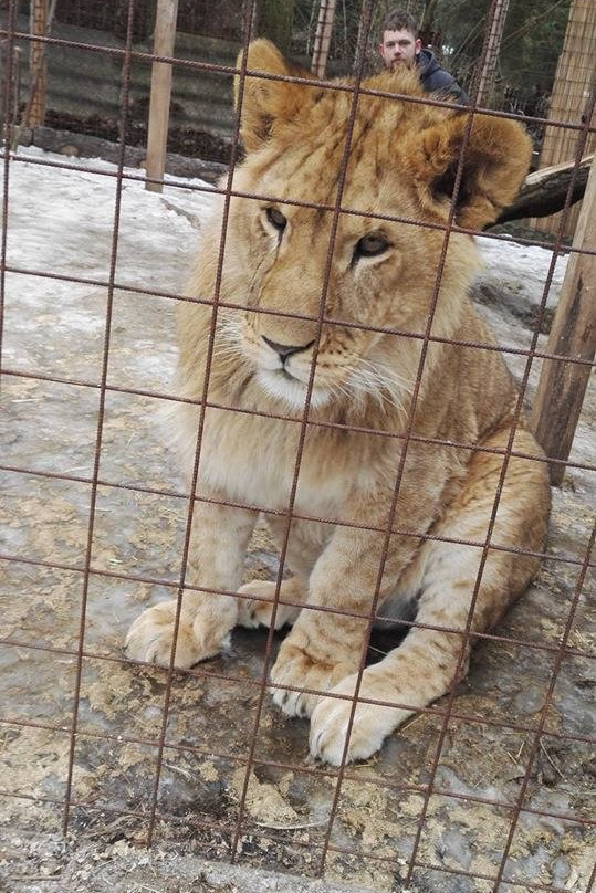 Kontaktní Zoopark景点图片