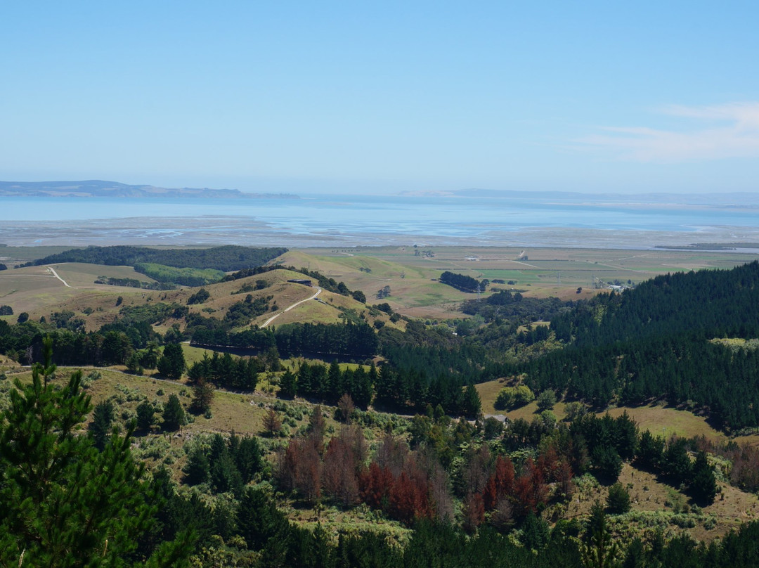 Mount Auckland Atuanui Walkway-奥克兰中心地区必去景点