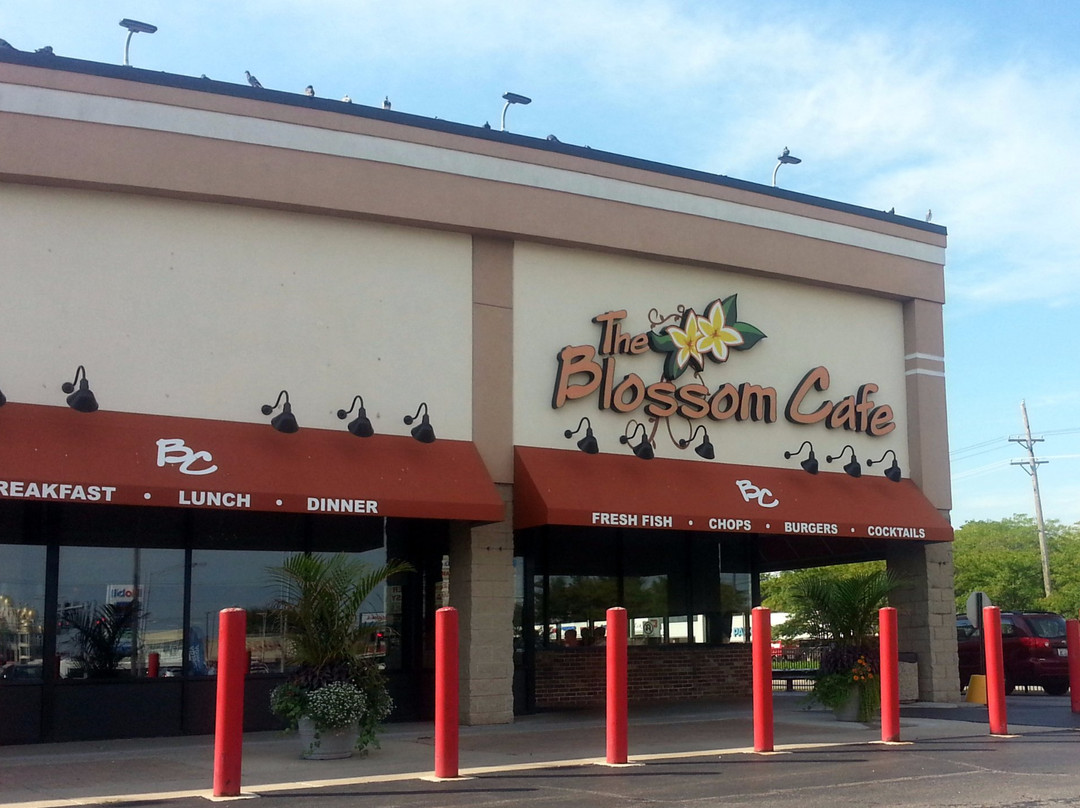 The Blossom Cafe