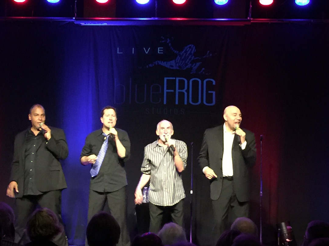 Blue Frog Studios-白石必去景点