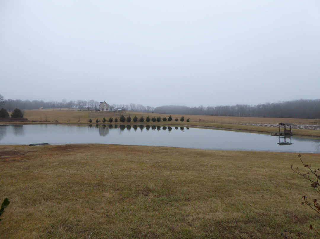 Molon Lave Vineyards-沃伦顿必去景点