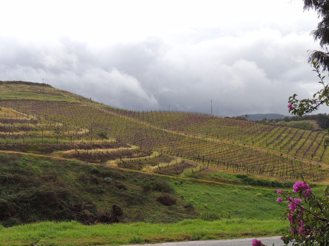 Inn on Highlands主图