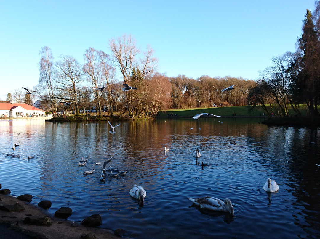 Rouken Glen Park景点图片