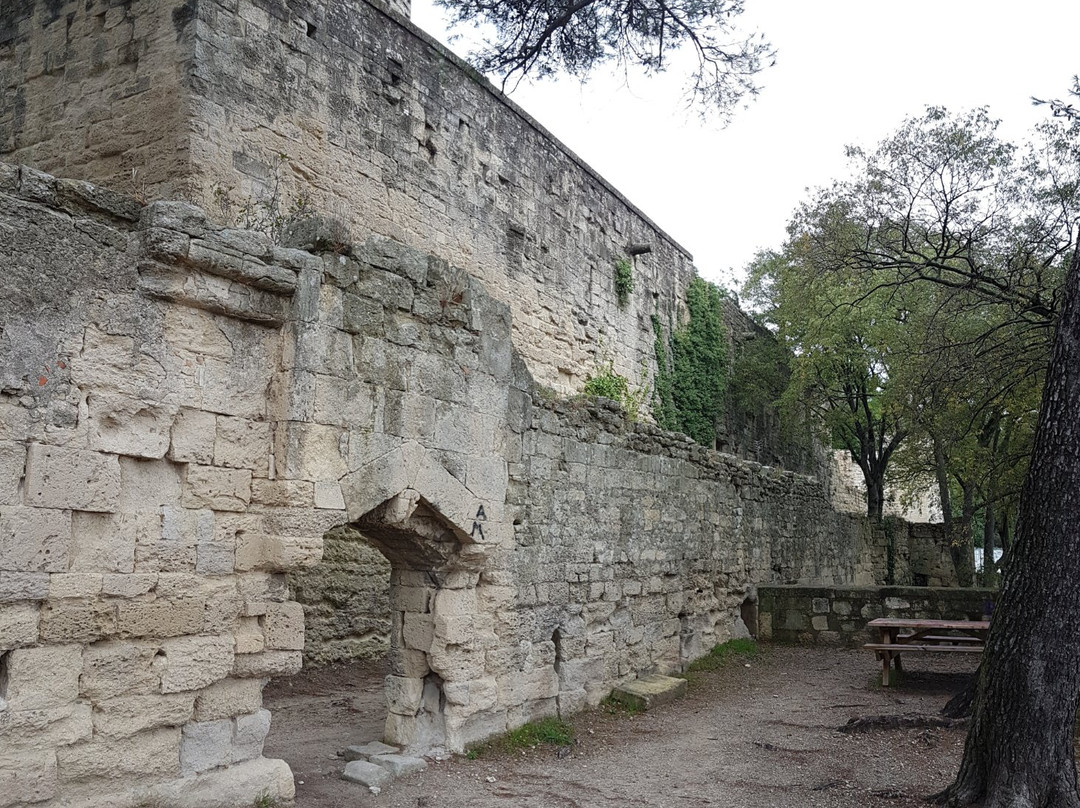 Château de Sommières景点图片