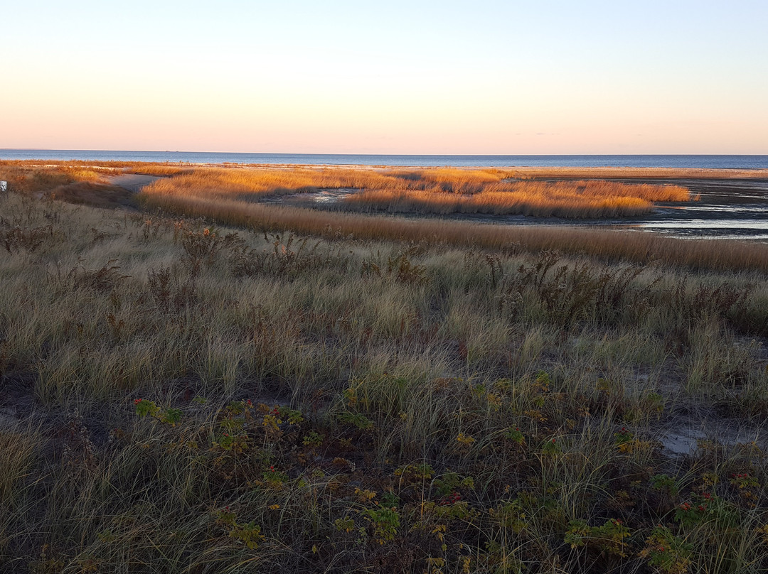 The Coastal Center at Milford Point-米尔福德必去景点