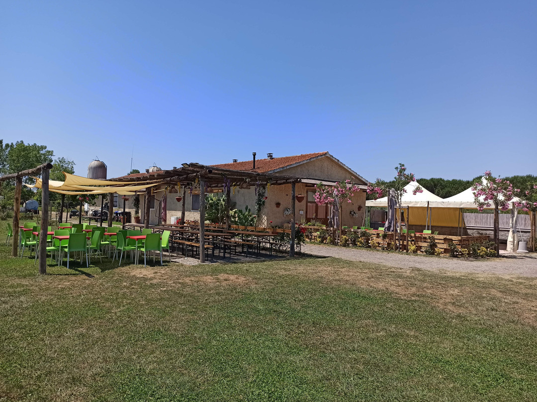 Raggio Di Sole Agriturismo