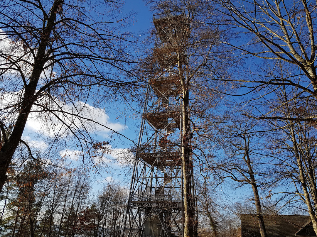 Aussichtsturm Schleifenberg-Liestal必去景点