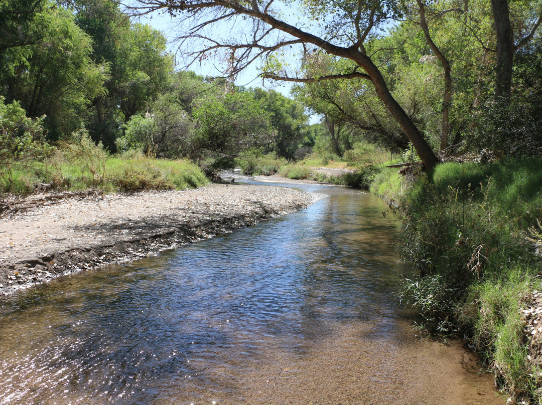 Tumacacori旅游攻略图片