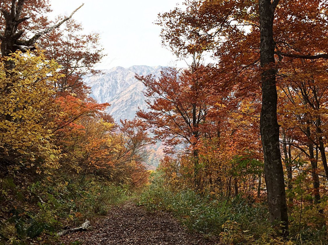 Kitaone Kogen Highland景点图片