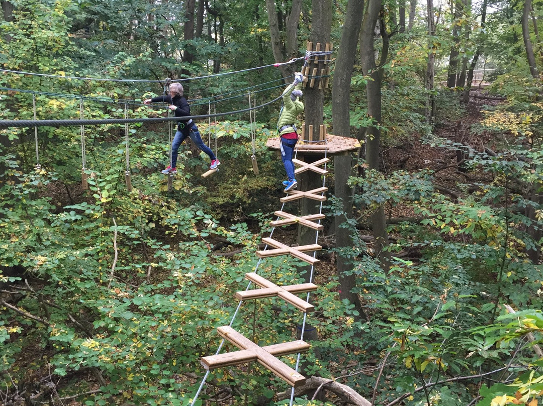 Go Ape Chessington-Chessington必去景点