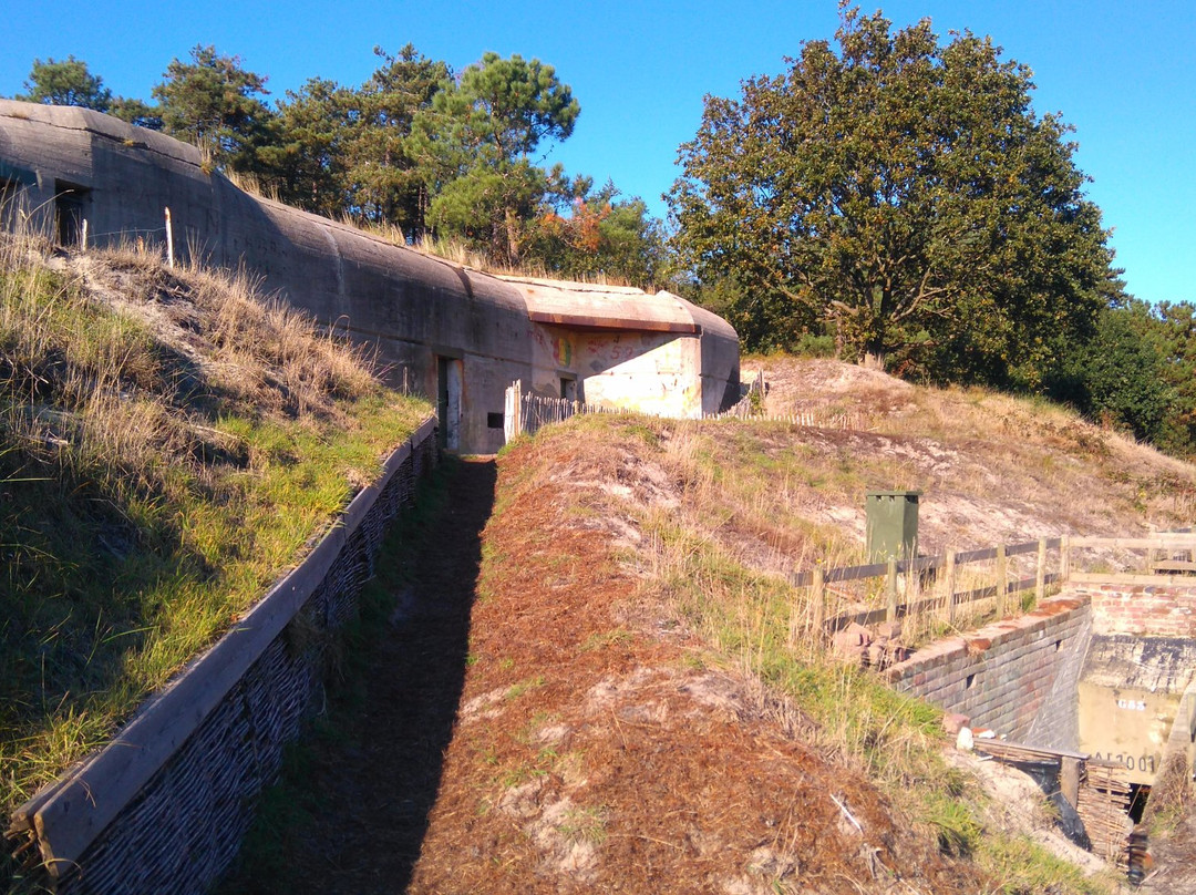 Bunkers Terschelling景点图片