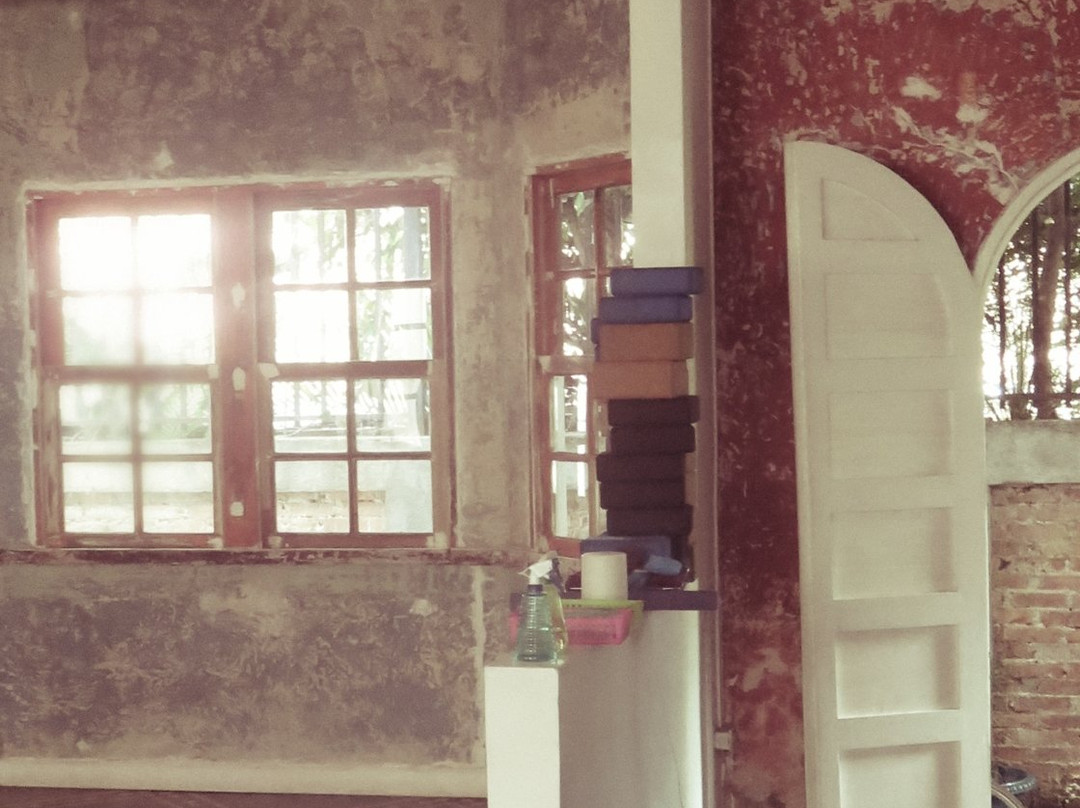 Downtown Yoga - Single Day Classes景点图片