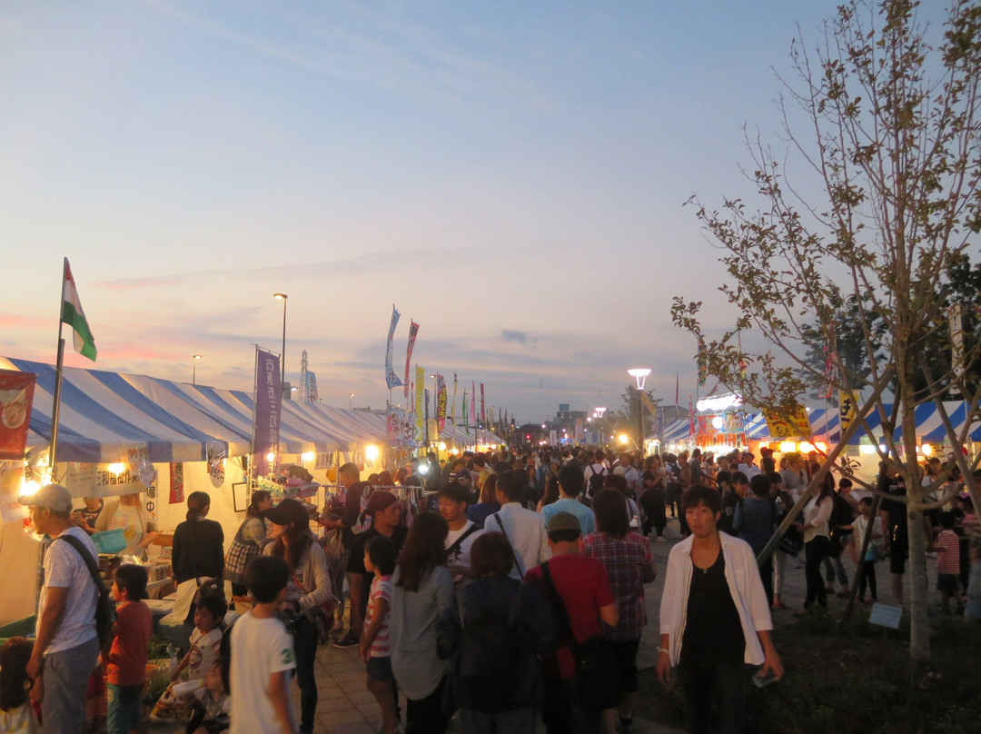 Kazusa Sarashina Park-市原市必去景点