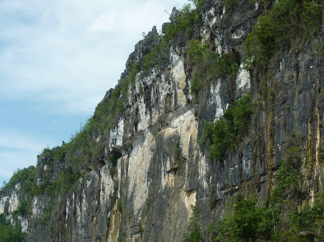 East Kalimantan旅游攻略图片