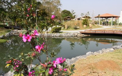 Parque da Cidade景点图片