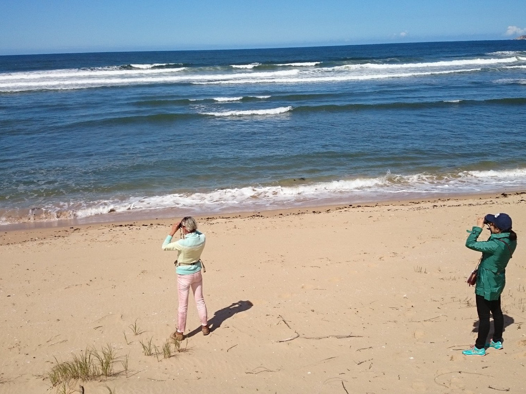 Witsand Nature Reserve-Witsand必去景点